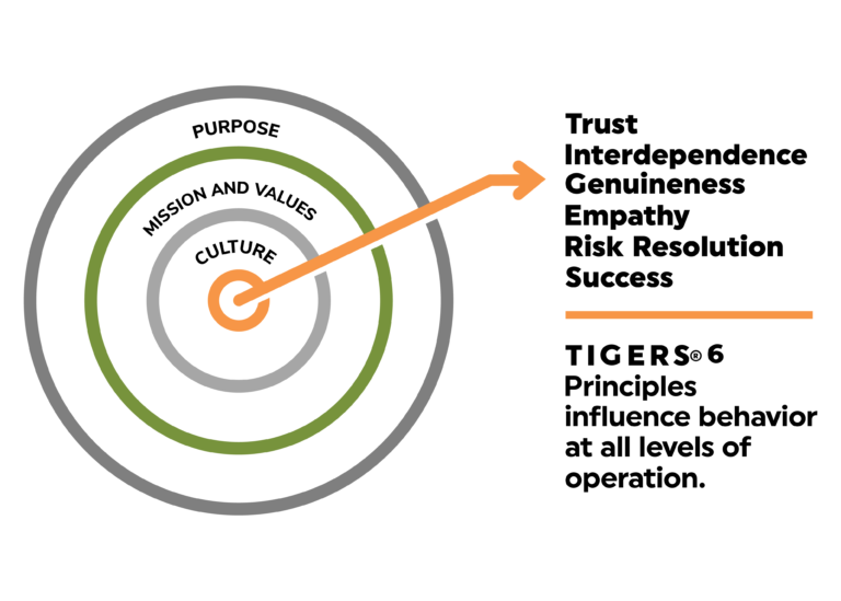 TIGERS 6 Principles framework showing trust interdependence genuineness empathy risk resolution and success influencing workplace behavior