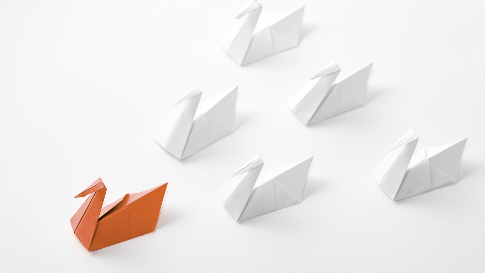 succession planning image with a changed leaders up front