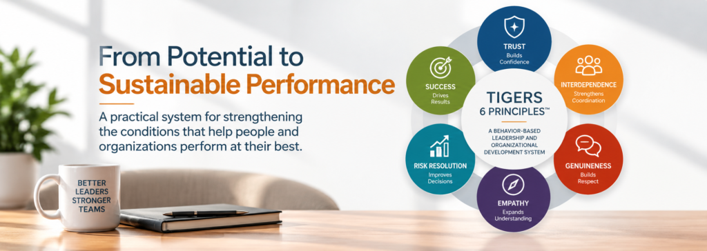 Framework for building high-performing teams using the TIGERS 6 Principles™